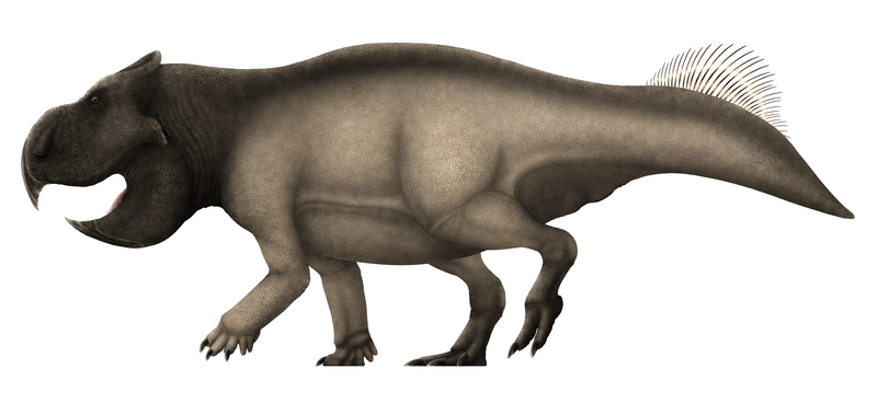 File:Udanoceratops Restoration.png