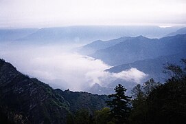 嘉義縣阿里山鄉雲海一景