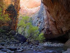 The Narrows (Zion National Park)