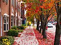 Autumn colors in Downtown Tallahassee