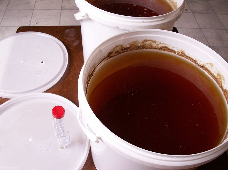 File:Beer after first fermentation.JPG