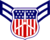 C/A1C insignia