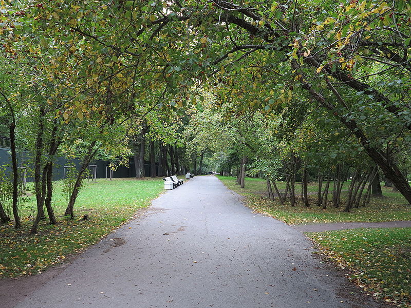 Файл:Lessinga Alley.JPG