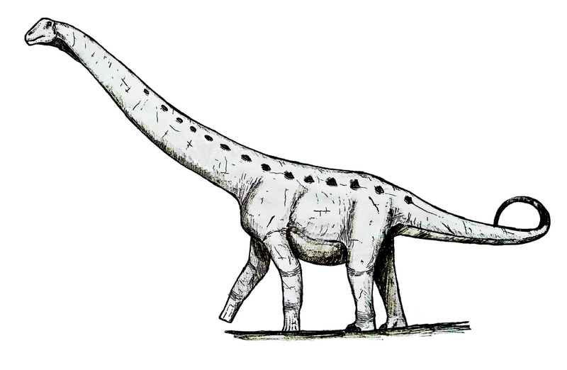 File:Overosaurus.png