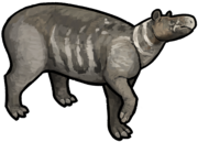 Paracolodon fissus