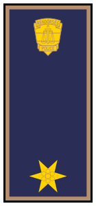 File:Rank Police Hungary 2LT.svg