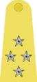 A Royal Thai Air Force Air Chief Marshal's rank insignia