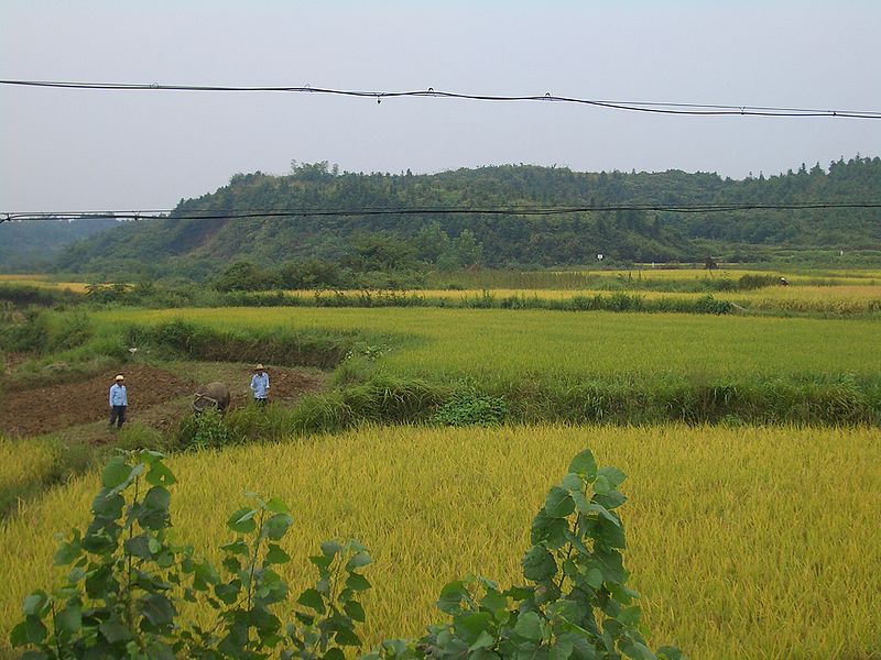 File:Xianning-fields-9733.jpg