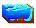 Cross-section of water bodies around Antarctica