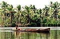 A dugout canoe of pirogue type in the Solomon Islands