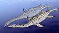 Lacustrine cryptids are frequently compared to plesiosaurs like Nichollssaura