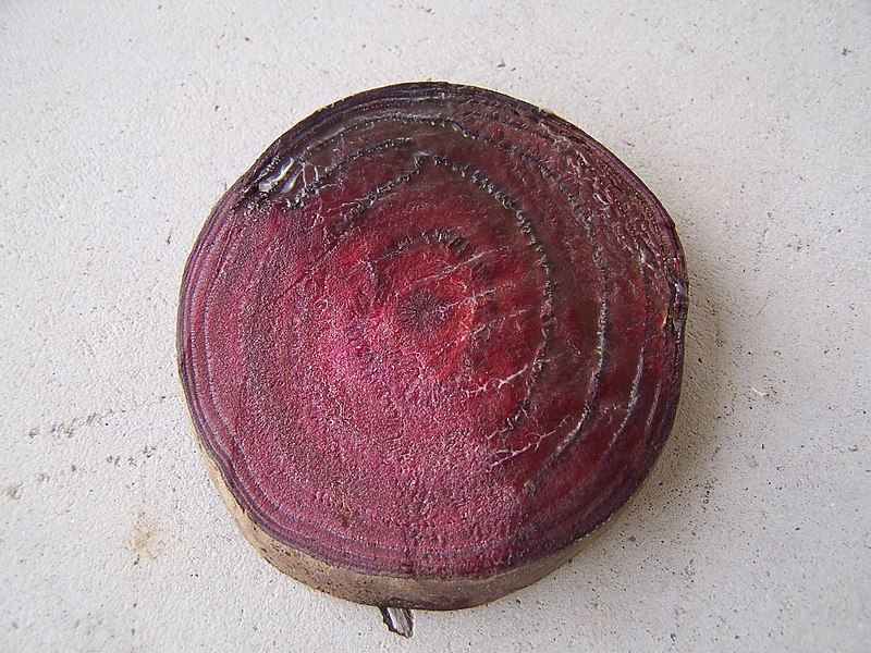 File:Pectobacterium Table Beet Slice.jpg