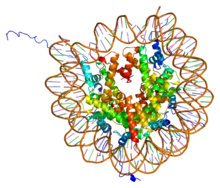 Protein HIST4H4 PDB 1aoi.png