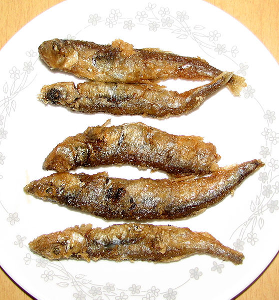 File:多春魚.jpg