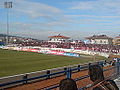 AEL fans In Veria during a game in January 2008