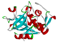 Cathepsin K