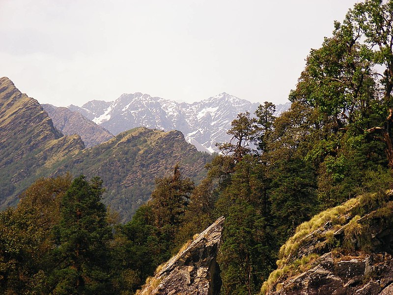 File:Chopta-bugyal2.jpg