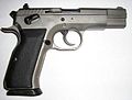 Tanfoglio T 95 Combat/EAA Witness 10mm Auto.