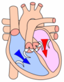 Diástole cardiaca