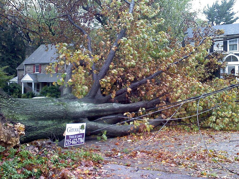 File:HurricaneSANDYCheltenham.jpg