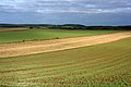 Un paisaje típico de la región de Podlaquia.