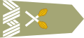 Marshal of Poland shoulder-strap insignia