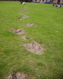 Megalosaur footprints.JPG