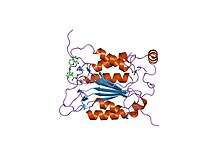 PDB 1rwp EBI.jpg