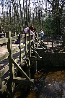 Pooh sticks bridge.jpg