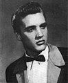 Elvis Presley was part Cherokee, French, Scottish, Scots-Irish and German.[95]b