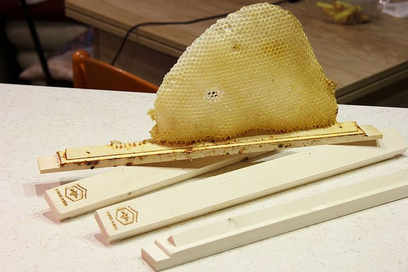 Файл:Top bar hive comb.jpg