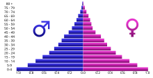 Angola population pyramid 2005.svg