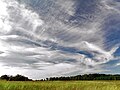 Image 6Cirrus clouds are composed of ice crystals and shaped like hairlike filaments. They are formed at an altitudes above 5000 metres (16,500 feet). The streaks are made of snowflakes that are falling from the cloud and being caught by the high level winds. The streaks point in the direction of the wind and may appear straight giving the clouds the appearance of a comma (cirrus uncinus), or may by seem tangled, an indication of high level turbulence. (Credit: Piccolo Namek.) (from Portal:Earth sciences/Selected pictures)