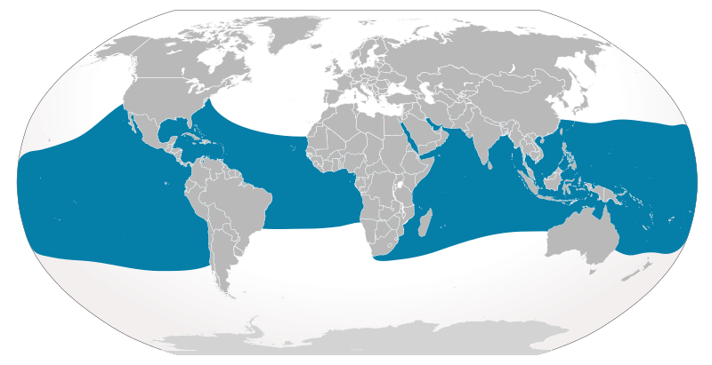 Файл:Cypron-Range Rhincodon typus.svg