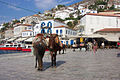 The harbor of Hydra; motor vehicles are prohibited throughout the island.