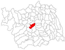 Location in Bacău County