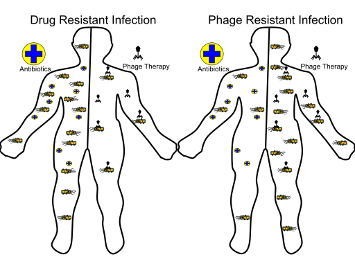 File:Phage Therapy.svg