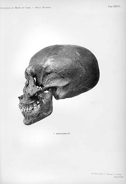 File:Unknown egyptian skull.JPG