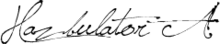 Wikipedian Hazbulator's signature.png