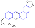 Berberine (one additional ring closure with incorporated N-methyl)