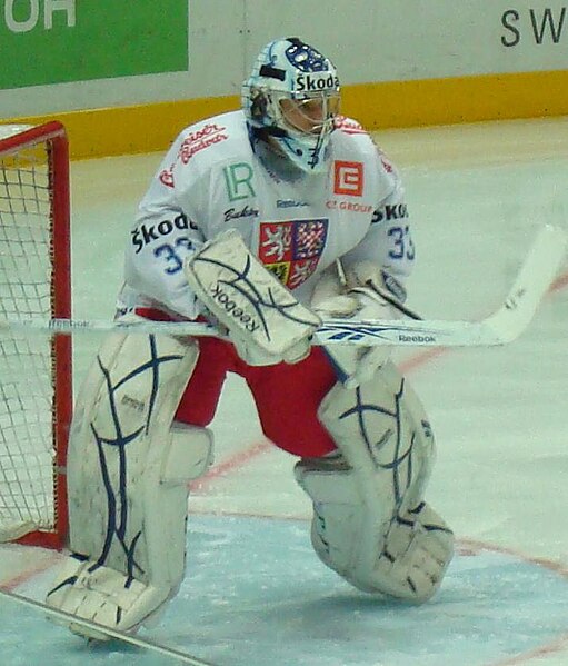 File:Jakub Stepanek 2010.JPG