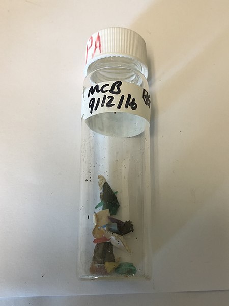 Файл:Microplastic sample.jpg