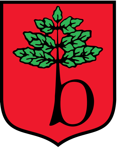 Файл:POL Brwinów COA.svg