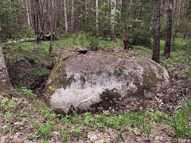 Файл:Нижегородская область, дер.Огибное, Синь-камень.jpg