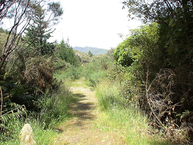 File:Kaitoke railway station 06.JPG