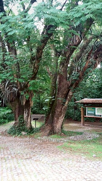 Archivo:Parque Percy Hill-acceso1.jpg