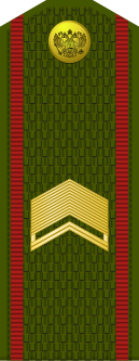 Файл:Russia-Army-OR-8-1994-field.svg