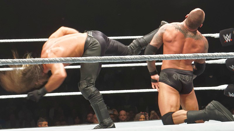 Archivo:Seth rollins back kick.jpg