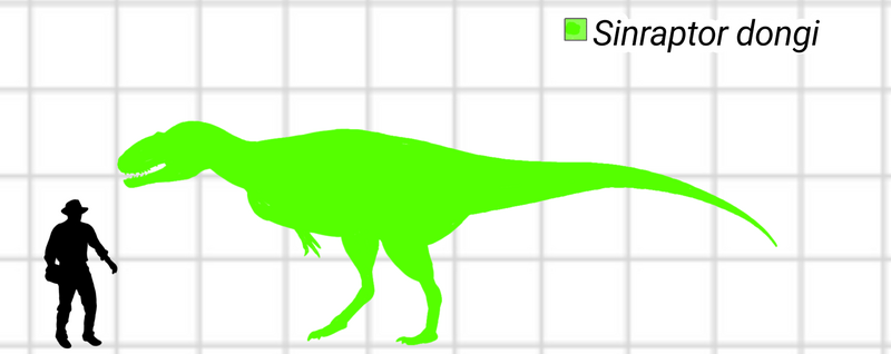 File:Sinraptor size.png