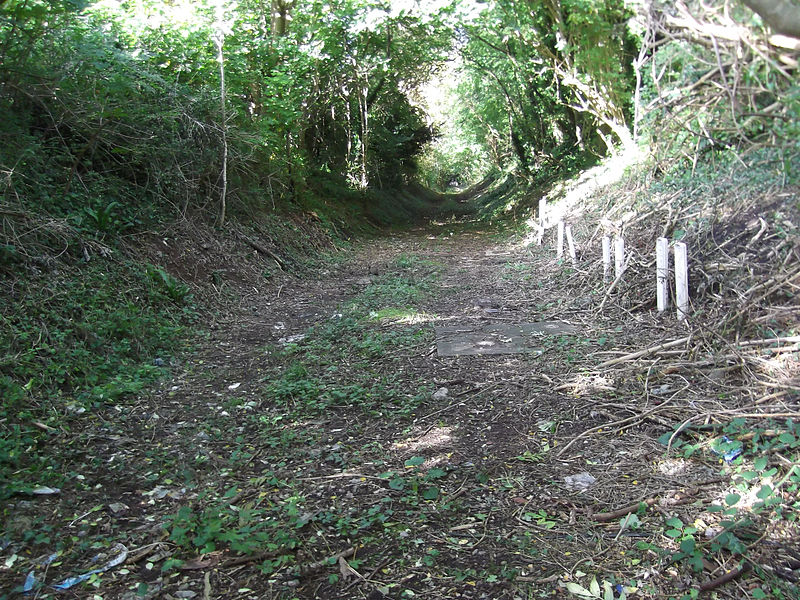 File:A&GR trackbed near Willsbridge.jpg